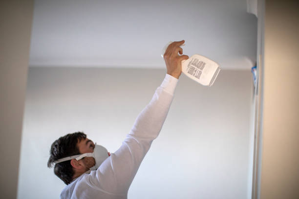 Best Same-Day Mold Removal  in Talty, TX