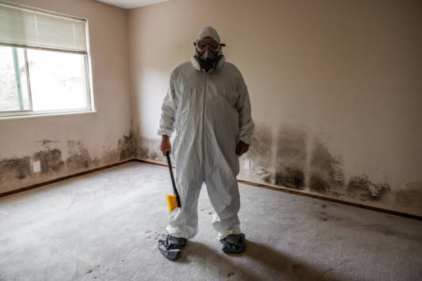 Water Damage Restoration in Talty, TX